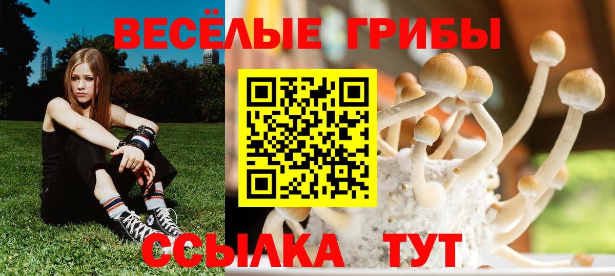Галлюциногенные грибы прущие грибы  Вход с VPN  Фурманов 