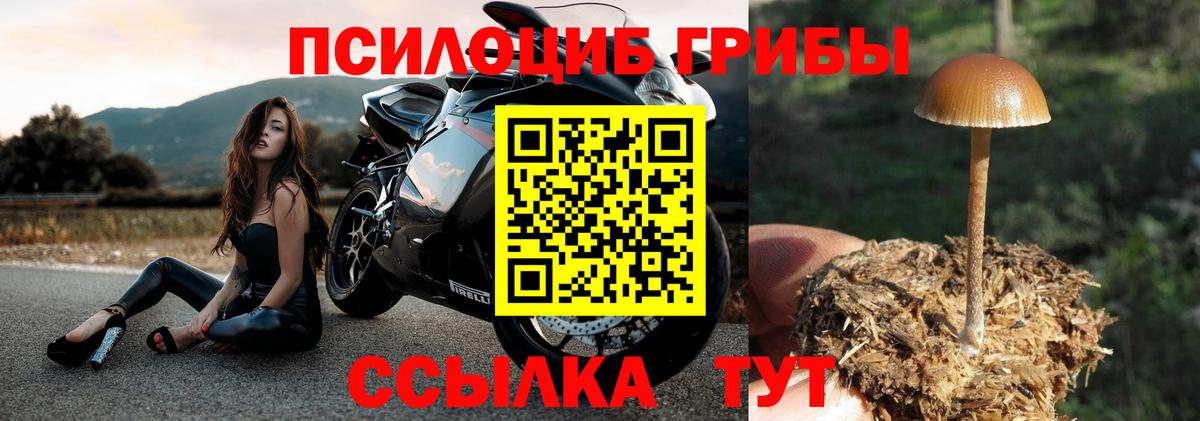 Метадон Фурманов